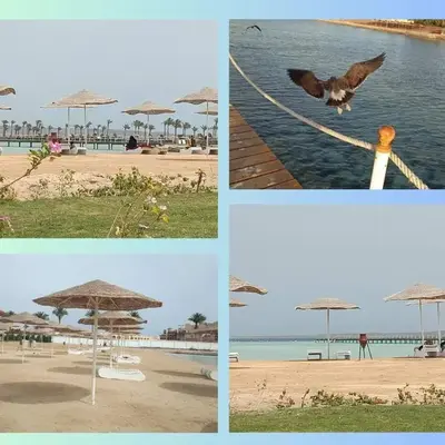 Scandic Resort: Comfy & Cozy. A433