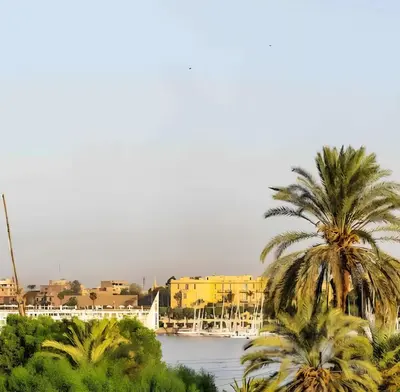 a view of a river with palm trees and buildings at Royal Home Luxor Pool View in Luxor