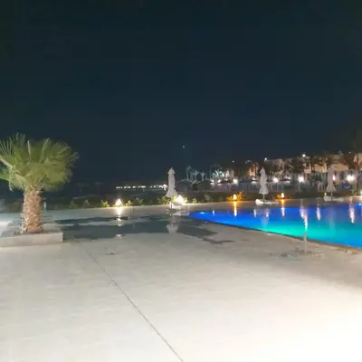 a swimming pool at night with a palm tree at Scandic Cinde in Hurghada