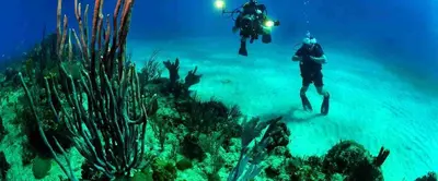 a group of people swimming over a coral reef at Sunshine villa ( south Safaga ) in Safaga