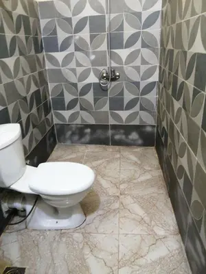 a bathroom with a toilet and a shower at Bob Marley Peace hotel luxor in Luxor