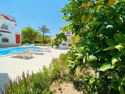 a resort with a swimming pool and a lemon tree at One room in a compound with the swimming pool in Hurghada