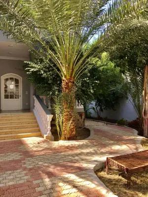 a palm tree in front of a house with a bench at Villa Elkoumy Apartments in Luxor
