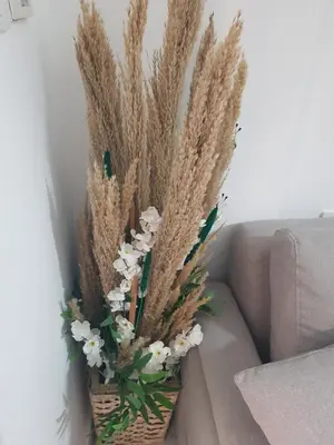 a vase of flowers sitting on a couch at استديو هادي بوسط المدينه in Hurghada