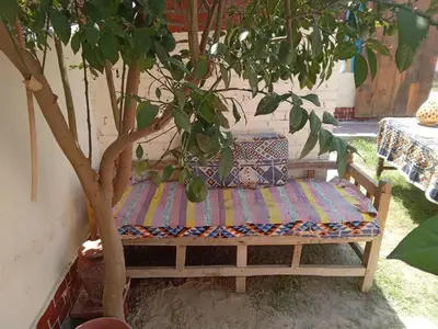 a bench sitting under a tree next to a tree at Golden Palace Family in Luxor