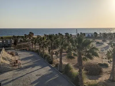 a beach with palm trees next to the ocean at Sea & Golf Views 2BR Villa with Free Beach & Pool Access in Hurghada