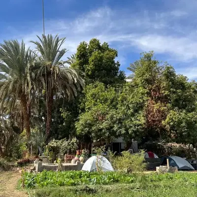 Salatoos Mango Garden and Guesthouse