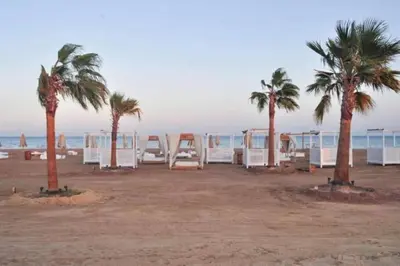 a group of palm trees and beach huts on the beach at Mangroovy Magic PoolView 1BR in Beachfront Complex M3 3A 13 in Hurghada