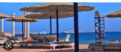 a group of chairs and umbrellas on a beach at Makramia A107 studio in Hurghada