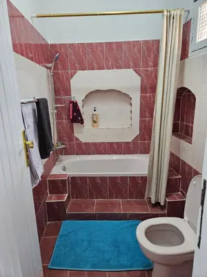 a bathroom with a bath tub and a toilet at Casa Helvetica in Luxor