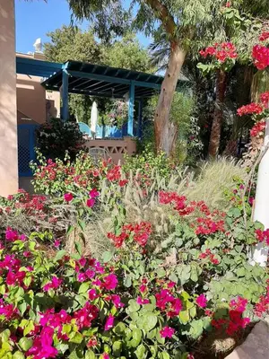 a garden with pink flowers in front of a house at Casa Della Laguna in Gouna in Hurghada