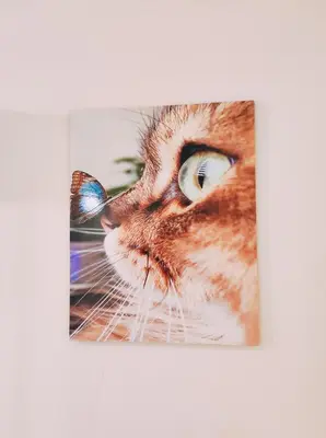 a picture of a cat on a wall at Oriental Tail Home in Hurghada