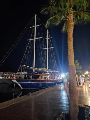 a large boat is docked next to a palm tree at Oriental Tail Home in Hurghada