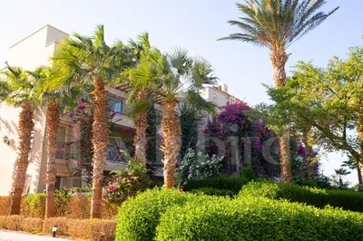 a building with palm trees and bushes in front of it at Ladybird - Veranda Beach House in Hurghada