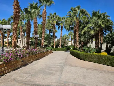 a walkway in a park with palm trees and flowers at Noura Luxury Hotel Villa with free Pool and Beach access in Hurghada in Hurghada
