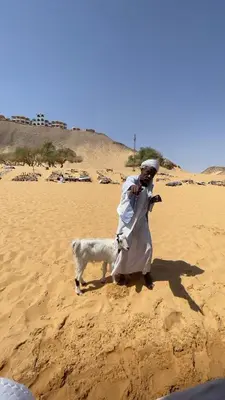 a man standing in the desert with a dog at Freedom Houseboat in Aswan