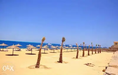 a row of palm trees on a beach with umbrellas at The View Residence Studio in Hurghada