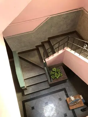 an overhead view of a stairs with a bowl of lily pads at Dr milad shokralla multiple central flats in Luxor
