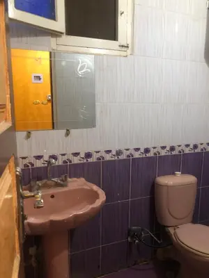 a bathroom with a sink and a toilet at NUB Guest House in Aswan