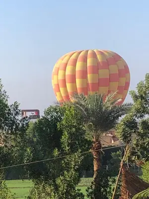 a hot air balloon flying over a palm tree at Roses House Ladies or families only in Luxor