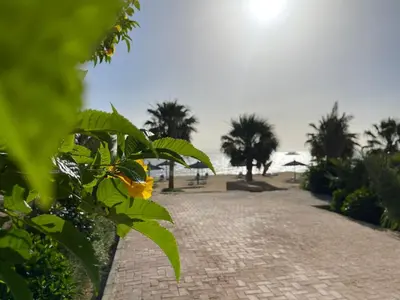 a cobblestone walkway with palm trees on the beach at apartment in hurghada307 in Hurghada