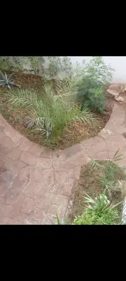 a garden with grass and plants on a sidewalk at Soliman Villa in Luxor