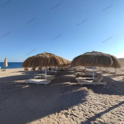 a row of straw umbrellas and chairs on a beach at Al-hambra in Hurghada