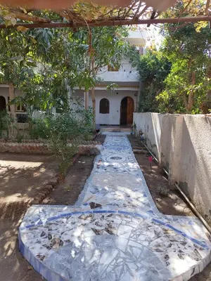 a walkway in front of a house with a building at Gabawy Garden Privatzimmer 2 Einzelbetten in Luxor