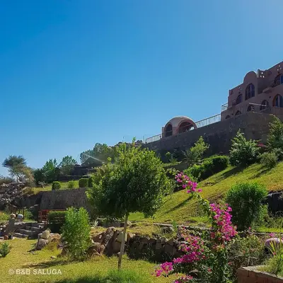 a garden with pink flowers on a hill at Saluga Nubian Guest House in Aswan