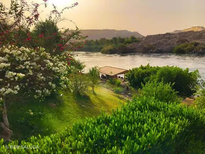 a house on the banks of a river at Saluga Nubian Guest House in Aswan