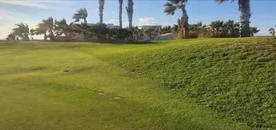 a green hillside with palm trees and a field of grass at Exceptional Apartment in Soma Bay 4pax in Hurghada