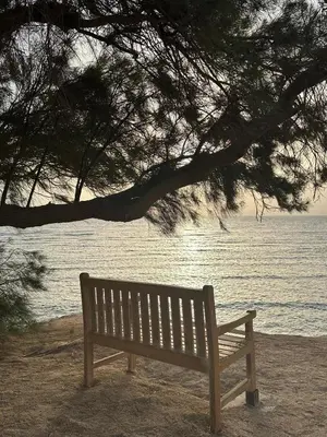 a bench sitting under a tree near the water at Exceptional Apartment in Soma Bay 4pax in Hurghada