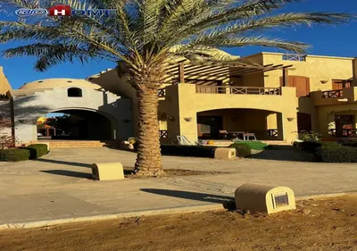 a palm tree in front of a building at Apartment -Y97-0-8- 1 BR Sabina in Hurghada