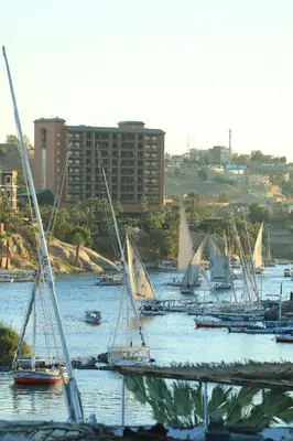 a group of sailboats on the water in a harbor at Crystala guest house in Aswan