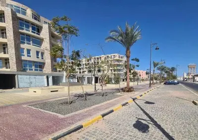 an empty street with a palm tree and a building at Hotel Room in Princess Resort With Beach Acces & Free Wi-fi I Near Air port in Hurghada