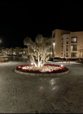 a tree in the middle of a courtyard at night at Mangroovy - 1BR Shiny Ground Floor in Hurghada