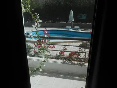 a view of a swimming pool with flowers in a window at Fox Beach Stay in Hurghada