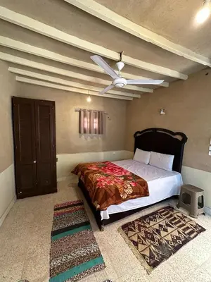 a bedroom with a bed and a ceiling fan at Villa Rebecca Professor's paradise in Luxor