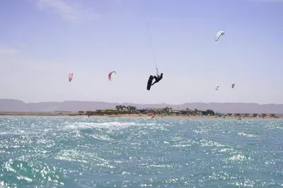 a group of birds flying over a body of water at Mangroovy - 2BR Prodigious Ground Pool & Sea view in Hurghada