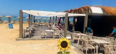 a sunflower in front of a restaurant on the beach at Fanadir Bay Resort in Hurghada