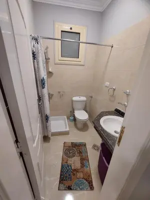 a bathroom with a toilet and a sink at Luxor apartment in Luxor
