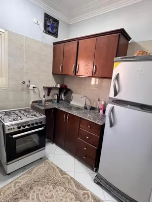 a kitchen with a stove and a refrigerator at Luxor apartment in Luxor