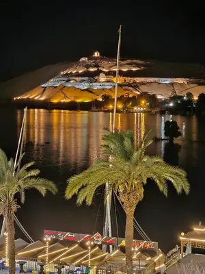 a group of palm trees in a harbor at night at Relaxation, fresh air, and a direct view of the Nile in Naj‘ al ‘Amrāb