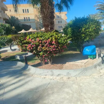 a group of bushes with pink and yellow flowers at Hurghada Palma Resort Studio in Hurghada