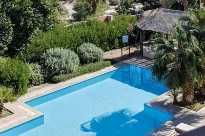 a swimming pool in a yard with plants at Wonderful apartment with prime location & pool in Hurghada