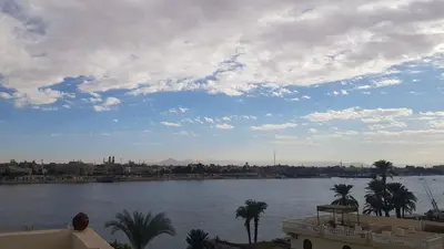 a view of a body of water with palm trees at Elminaa Residence 6 in Luxor