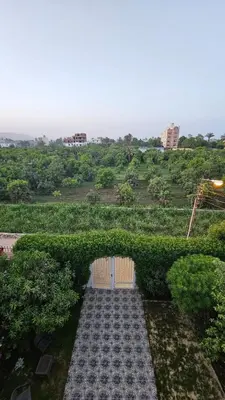 an arch in a hedge with a door in a field at Panorama Hotel in Luxor