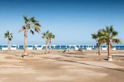 a group of palm trees on a sandy beach at Smooth & Snug 1 BDR Mangroovy Free Beach & Pool Access in Hurghada