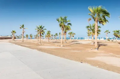 a sandy beach with palm trees and the ocean at Smooth & Snug 1 BDR Mangroovy Free Beach & Pool Access in Hurghada