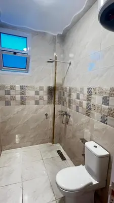 a bathroom with a toilet and a shower at Amenhotep Apartments in Luxor